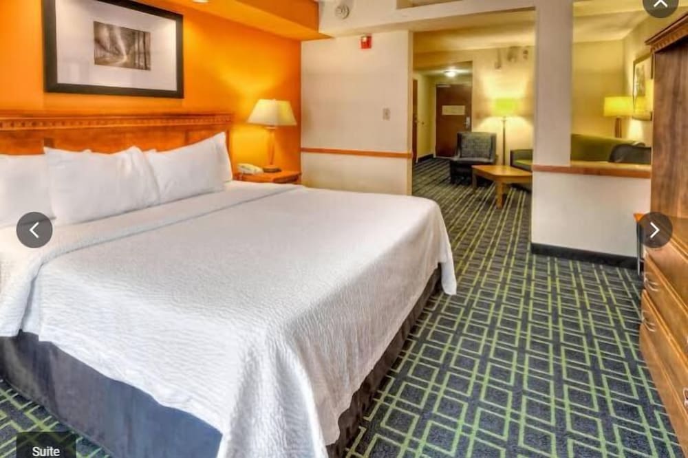 Executive Studio Suite, 1 King Bed With Sofa Bed photo 2