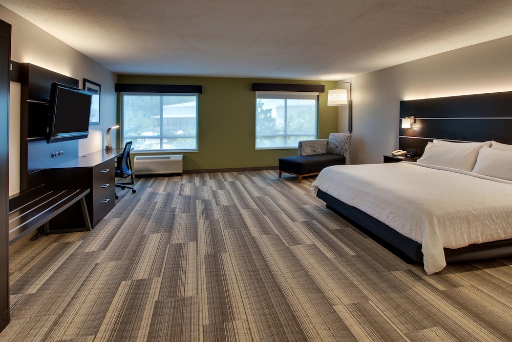 Room, 1 King Bed, Accessible - Photo 3