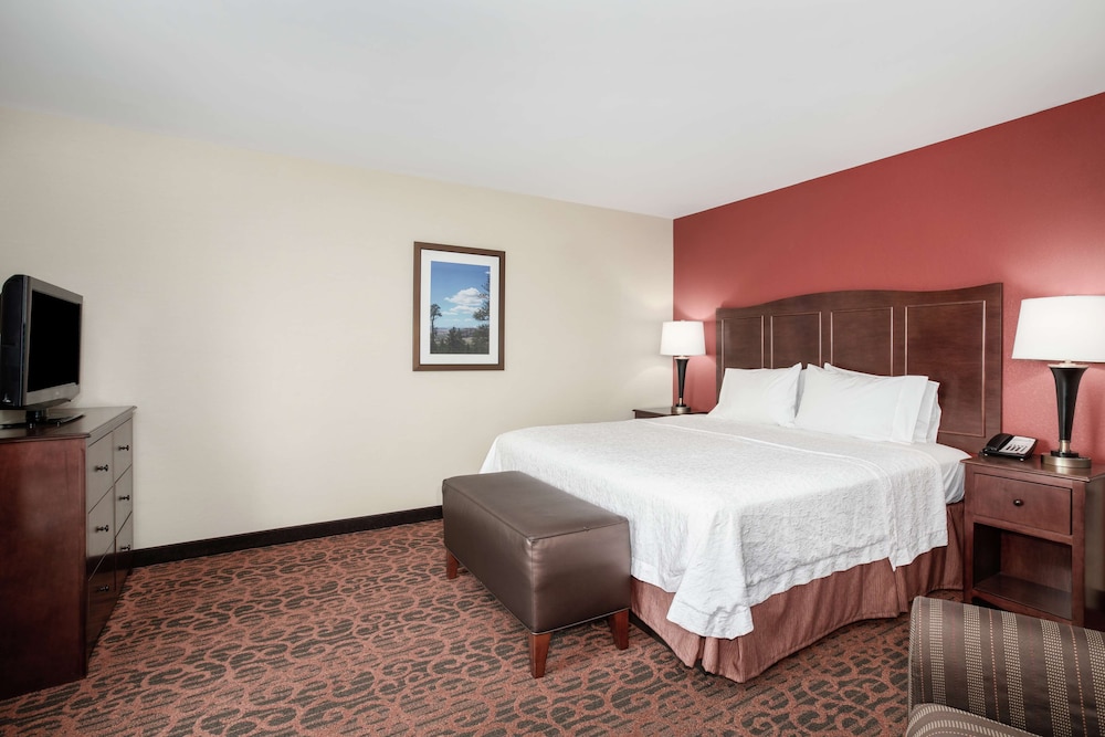 One King Bed photo 2