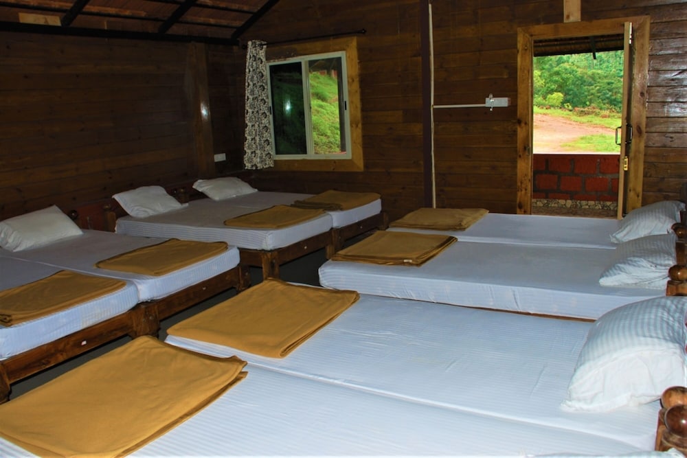 Shared Dormitory photo 1