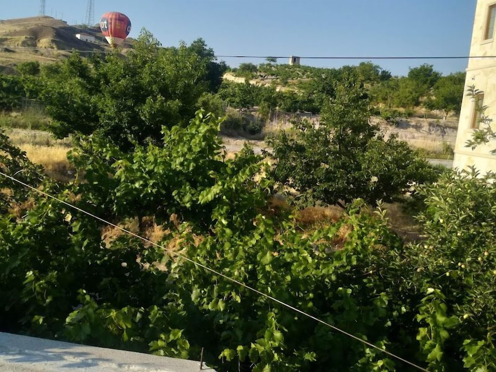 Grand Apartment, 3 Bedrooms, Valley View photo 3