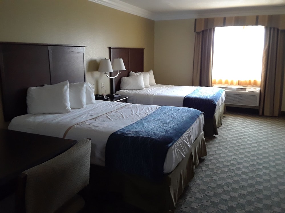 Basic Double Room