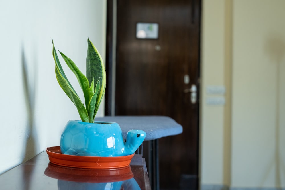 2 BHK Suite