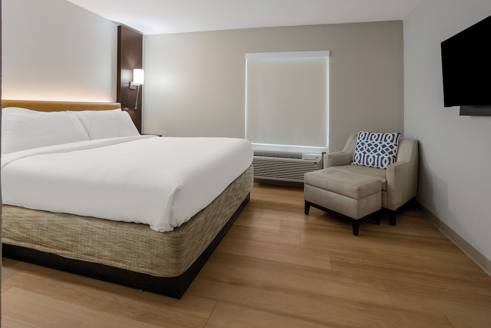 Presidential Room, 1 King Bed