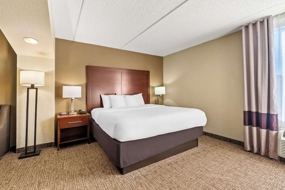 Suite, 1 King Bed with Sofa bed, Accessible, Non Smoking - Photo 3