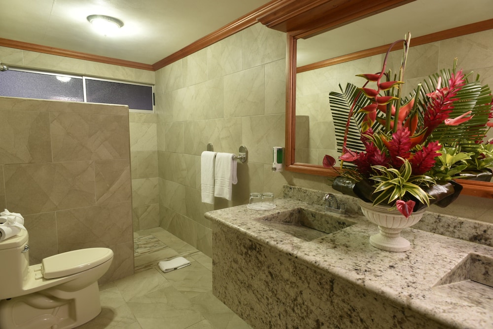 Standard Room, Accessible, Mountain View photo 3