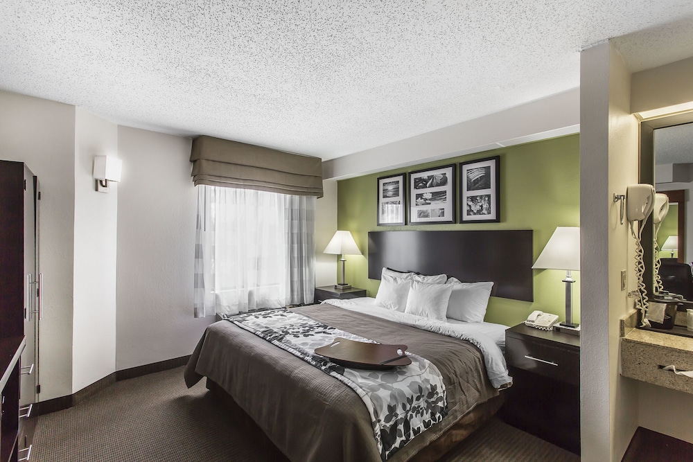 Standard Room, 1 King Bed, Non Smoking - Photo 1