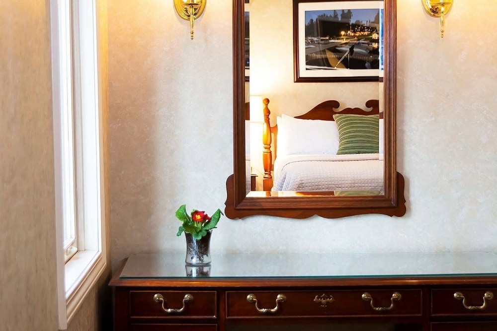 Standard Queen, 1 Queen Bed photo 3