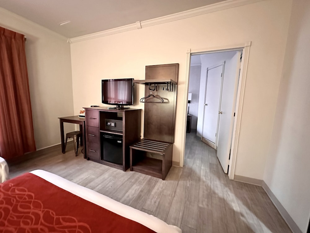 Family Suite photo 1