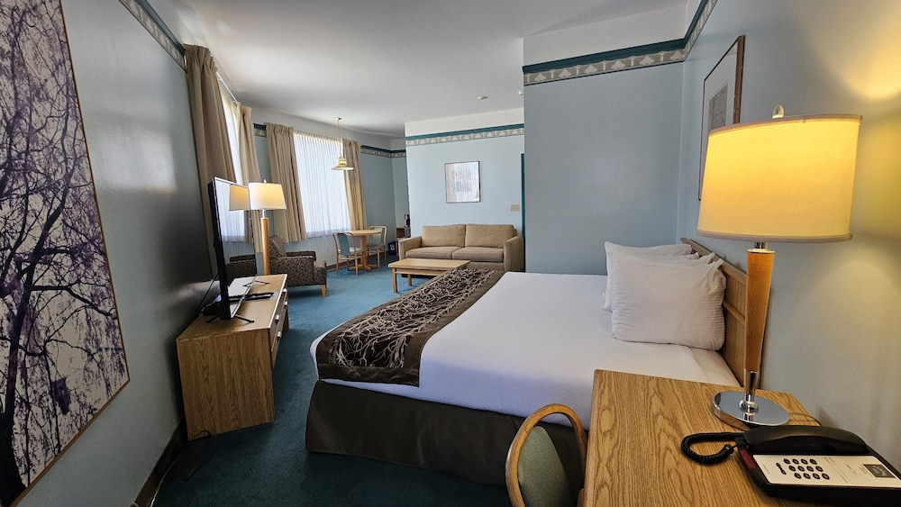Executive Suite (Not Pet Friendly Room)