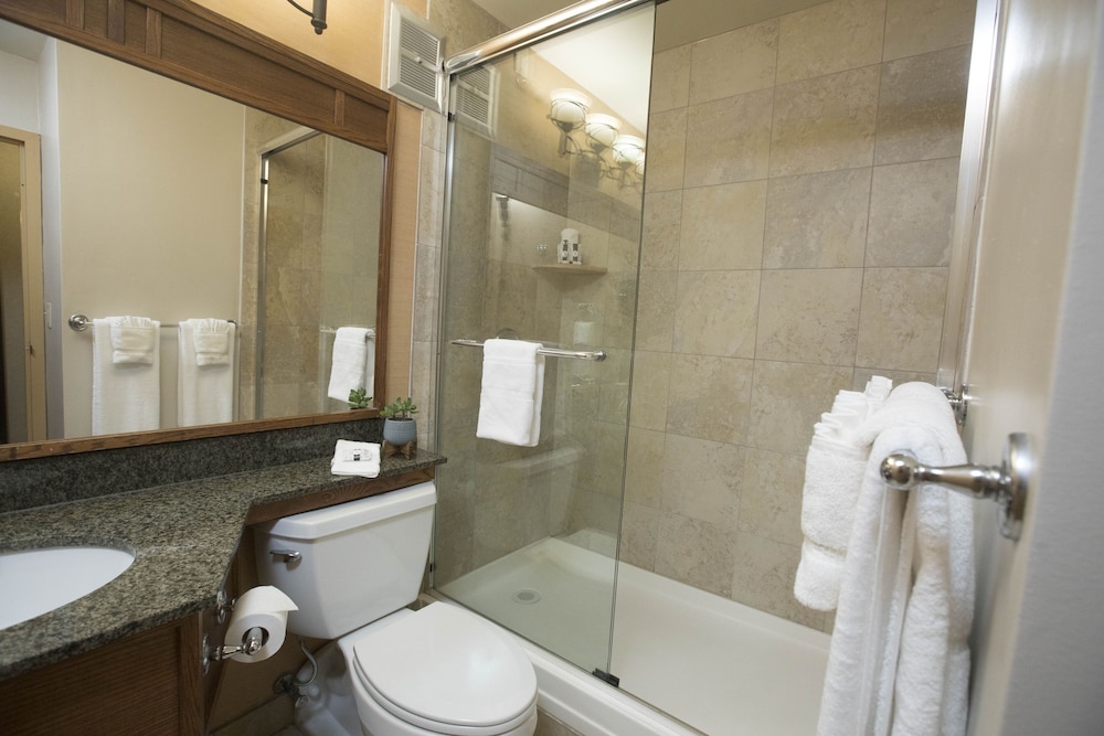 Deluxe Room, 1 King Bed, Patio - Photo 5