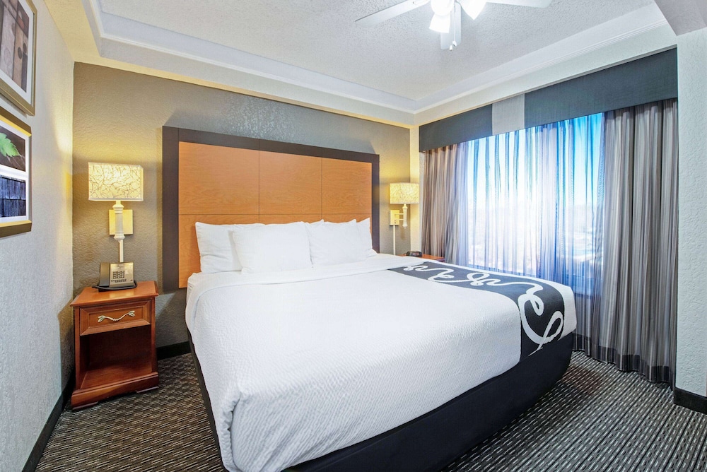 Suite, 1 King Bed - Photo 1
