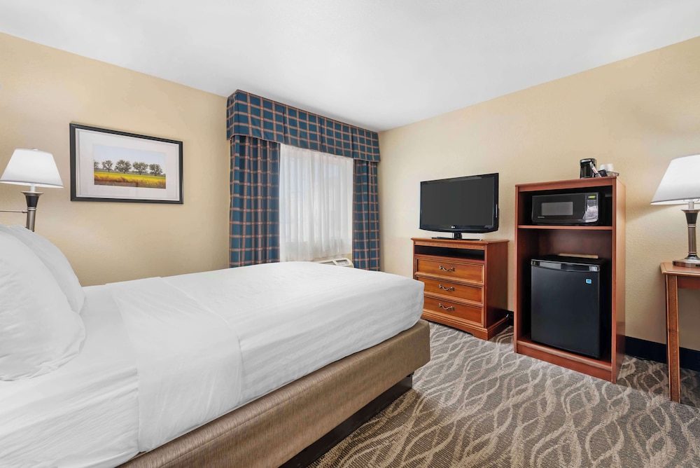 Standard Room, 1 Queen Bed, Non Smoking, Refrigerator & Microwave - Photo 4