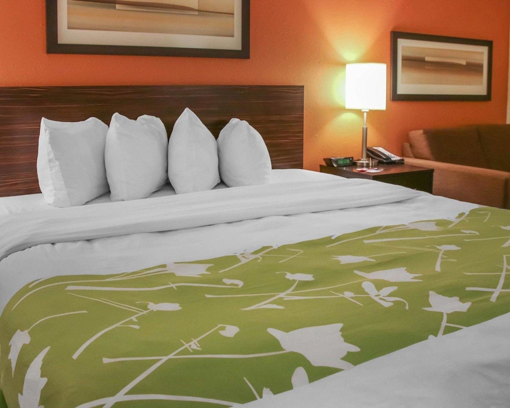 Standard Room, 1 King Bed with Sofa bed, Non Smoking (1 Person Sofa Bed)