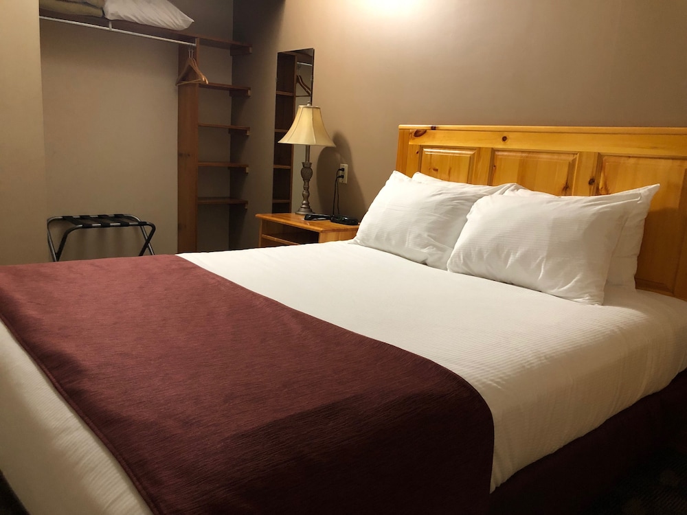 Deluxe Suite, 1 Queen Bed with Sofa bed, Kitchen photo 3