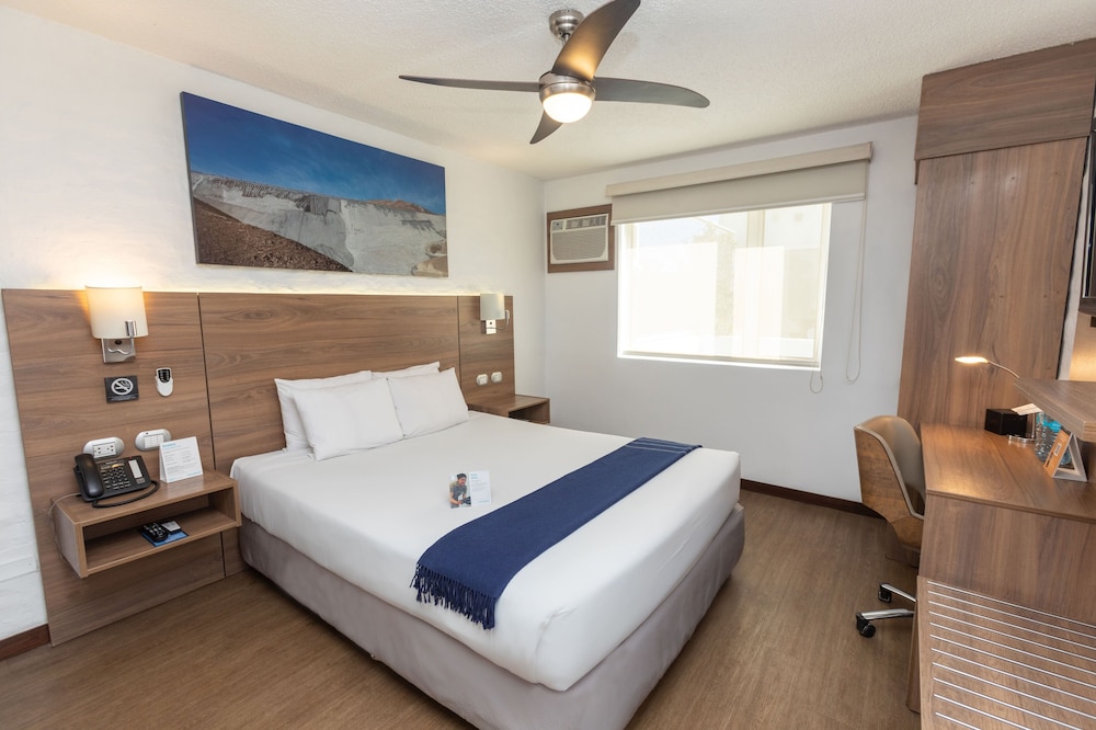 Superior Room, 1 Queen Bed photo 1