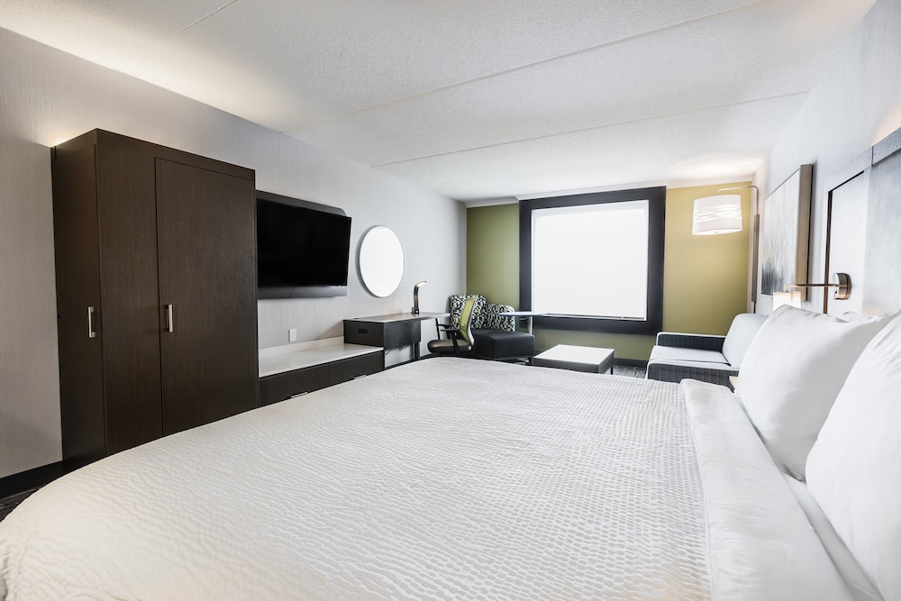 Suite, 1 King Bed with Sofa bed