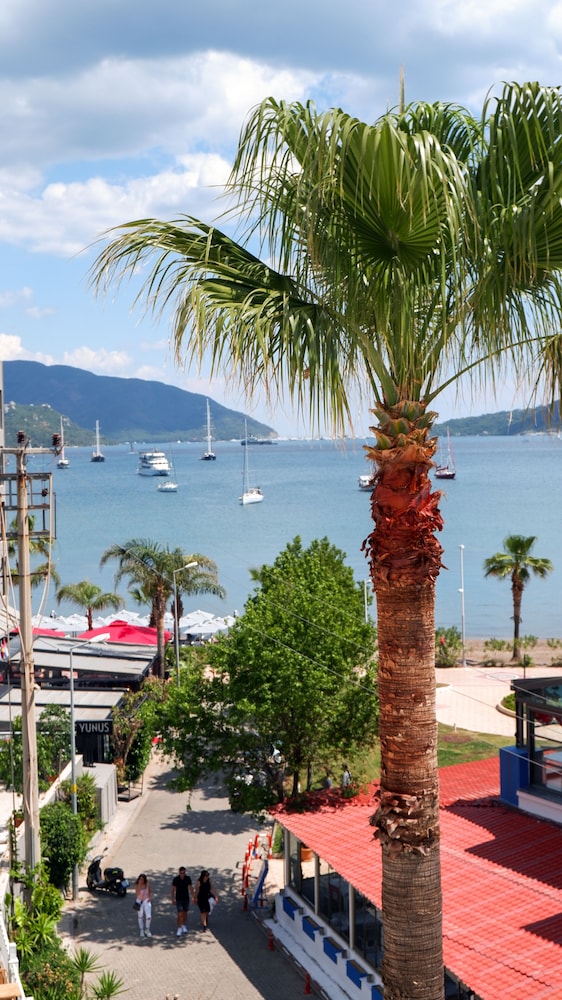 Standard Sea View photo 2