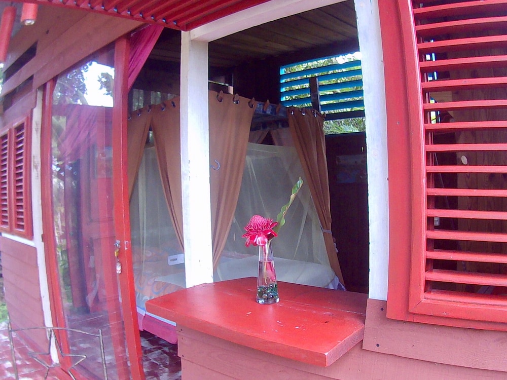 Tropical Cottage photo 2