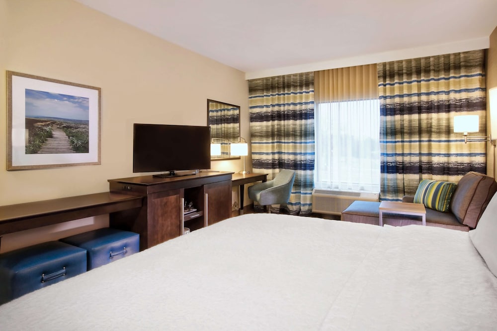 Room, 1 King Bed, Non Smoking photo 2