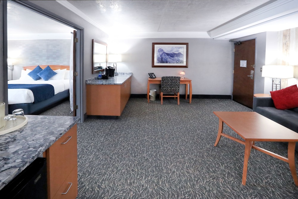 Suite - Photo 7