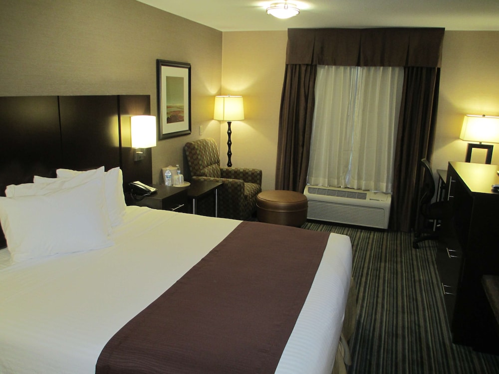 Standard Room, 1 King Bed, Non Smoking, Refrigerator & Microwave - Photo 3