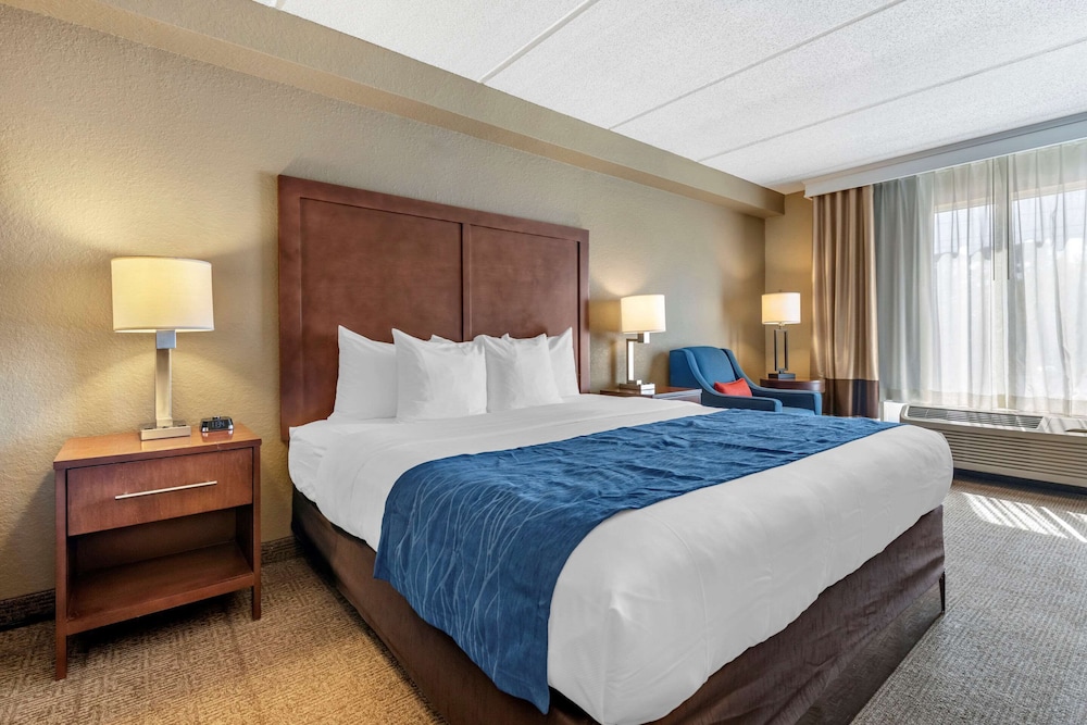 Suite, 1 King Bed, Non Smoking - Photo 1