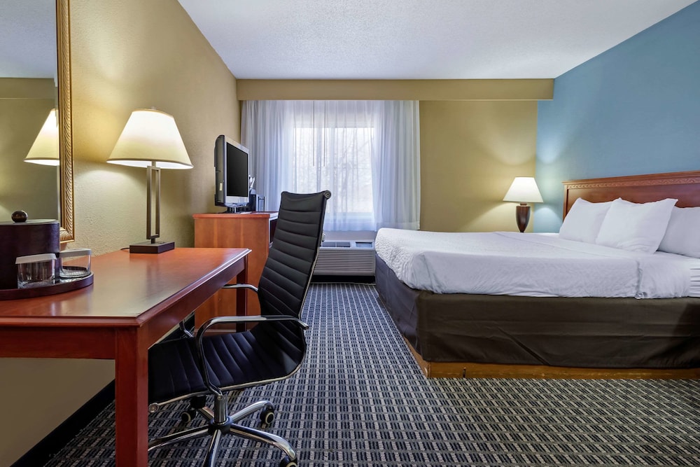Standard Room, 1 King Bed, Non Smoking (Pet Friendly) - Photo 5