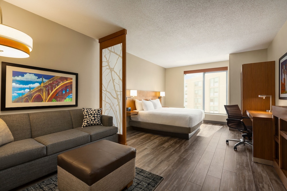 Suite, 1 King Bed with Sofa bed