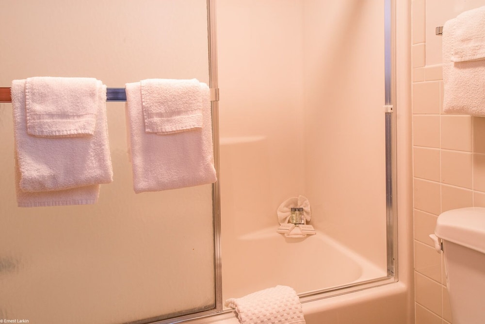 Bathroom with towels, shower, and toilet
