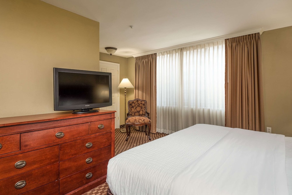 Suite, 1 King Bed, Non Smoking photo 3