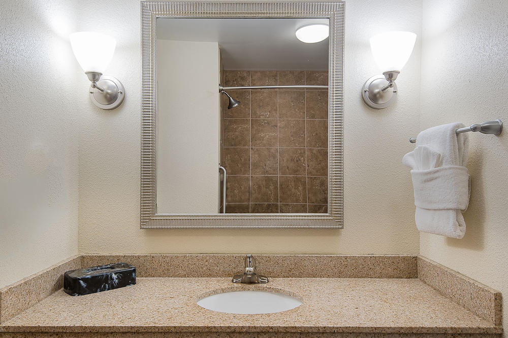 Suite, 1 Bedroom - Photo 4