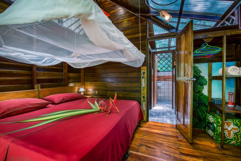 Dream Caribbean House, 2 Bedrooms, Full Kitchen photo 3