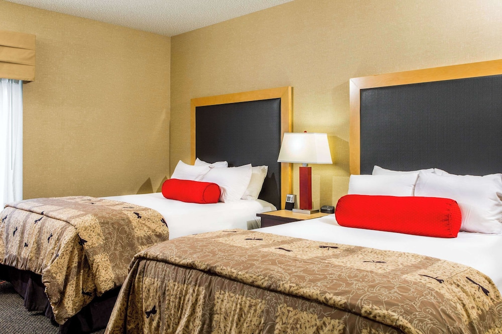 Suite, Multiple Beds, Accessible, Non Smoking - Photo 1