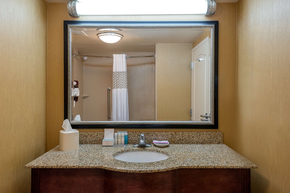 Suite, 1 King Bed, Accessible (Hearing) - Photo 3
