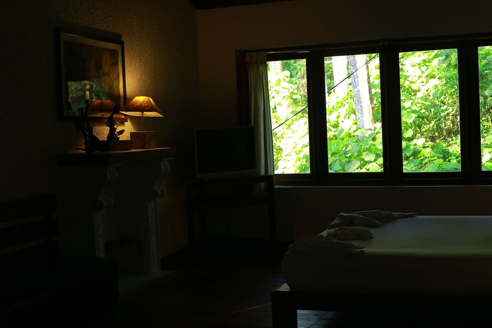Luxury Double Room photo 2
