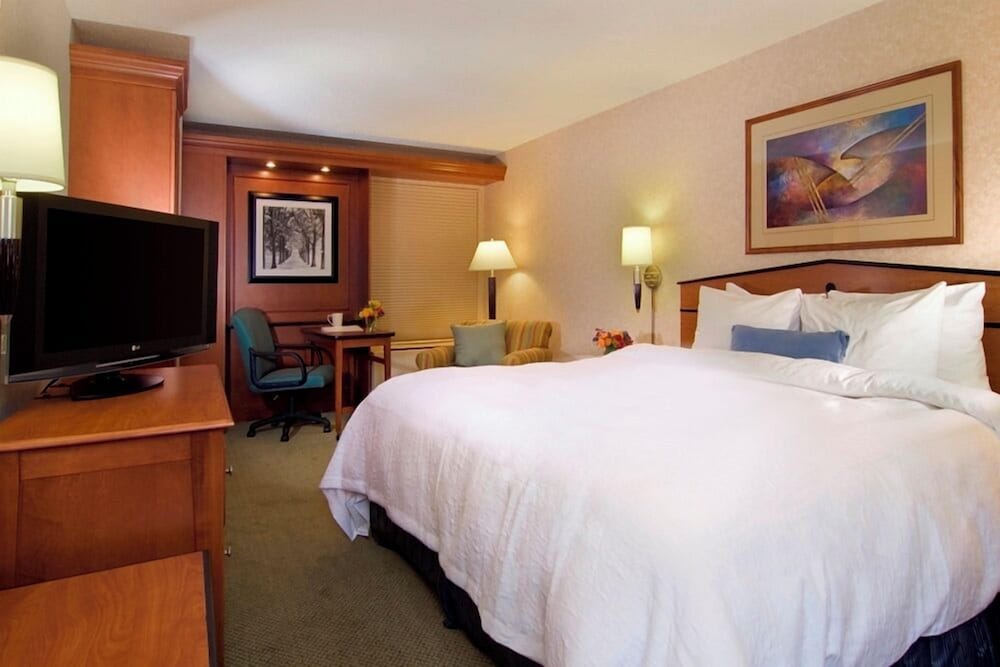 Standard Room, 1 King Bed Accessible Roll-In Shower photo 2