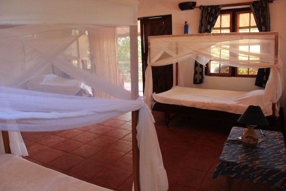 Economy Room, Multiple Beds, Garden View photo 3