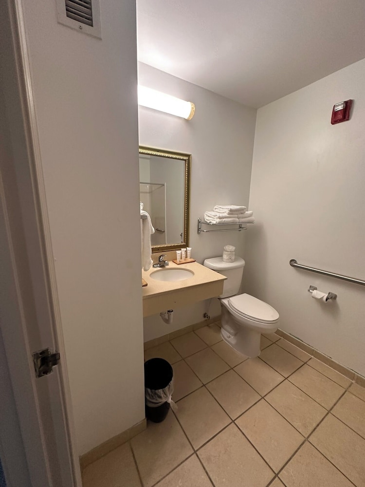 Premium Suite, 1 King Bed, Mobility Accessible, Non Smoking photo 3