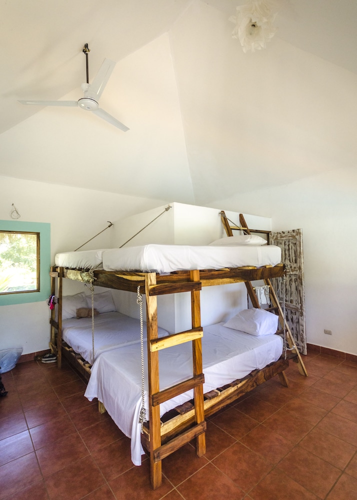 Shared Dormitory photo 1