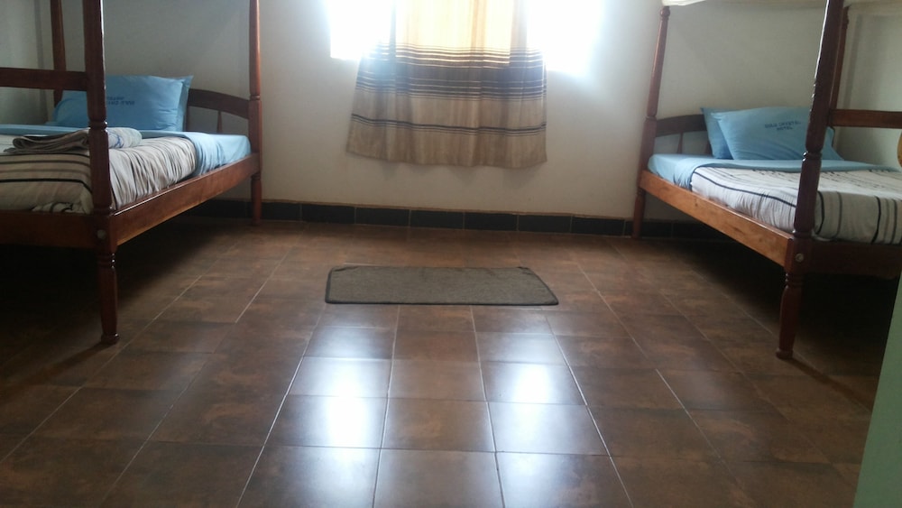 Twin Room photo 3