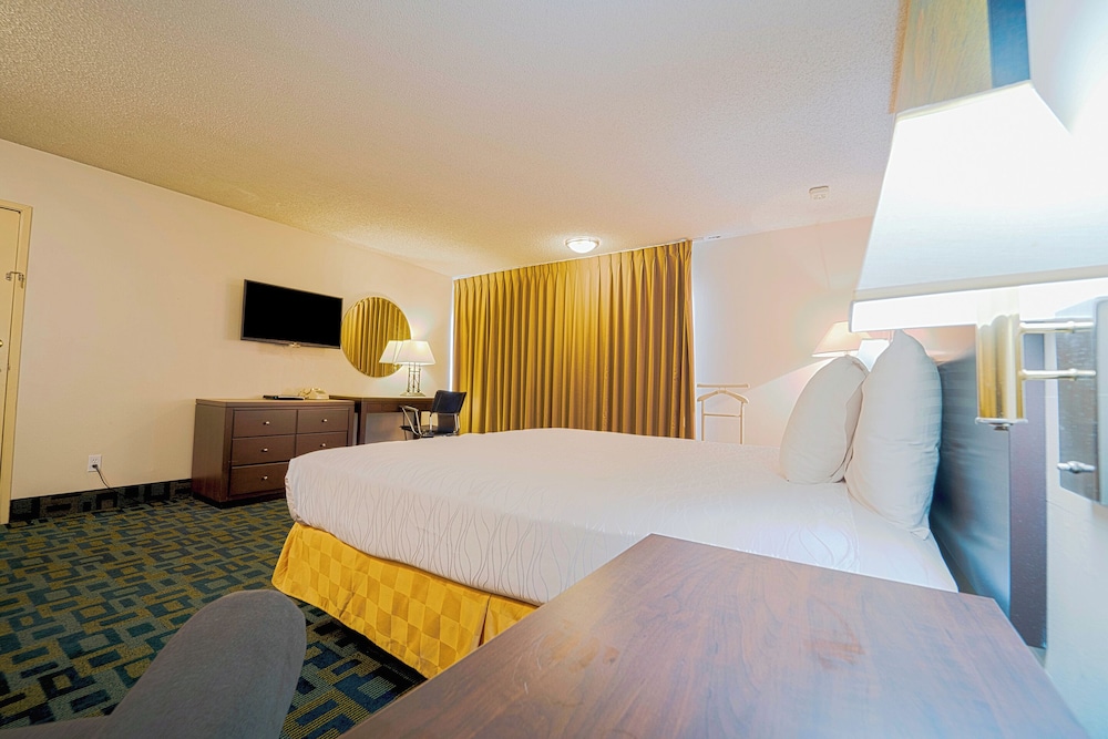 Room, 1 King Bed, Accessible, Poolside photo 2