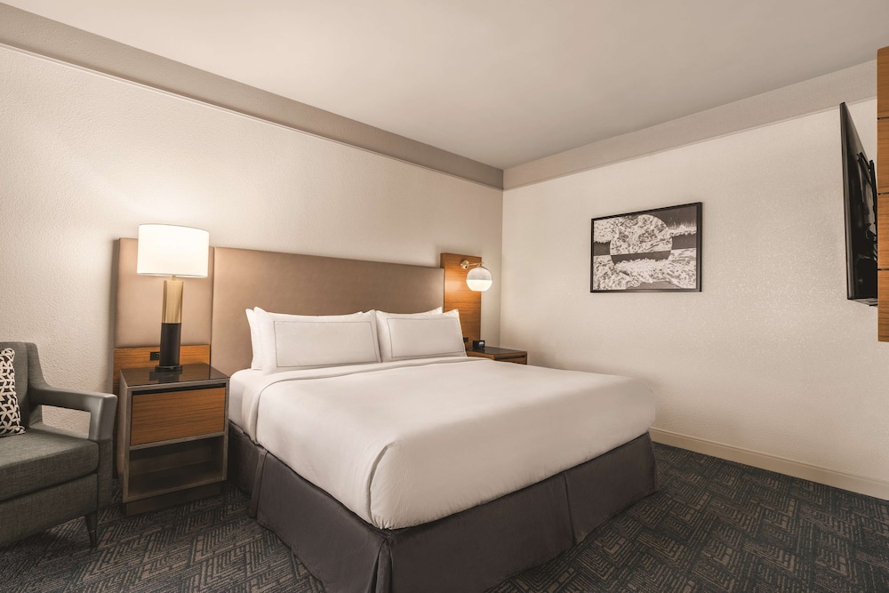 Suite, 1 King Bed, Accessible, Patio (Roll-In Shower) - Photo 3