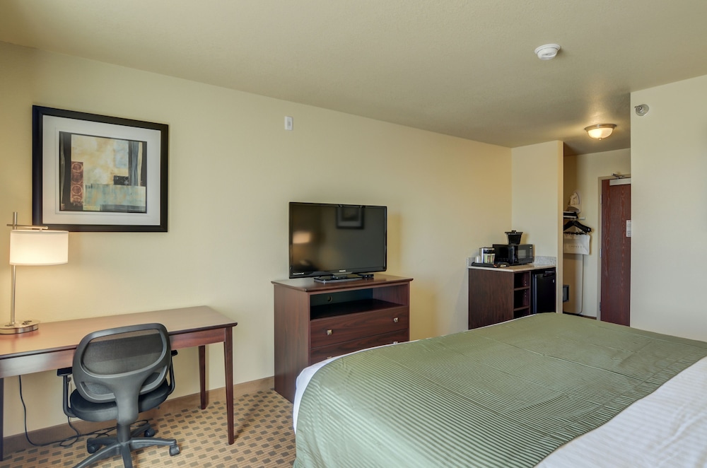 Room, 1 King Bed, Non Smoking