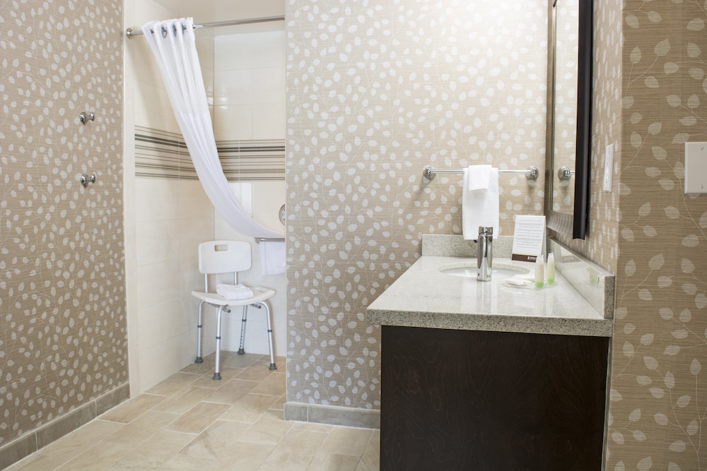 Studio Suite, 1 King Bed, Accessible, Kitchen