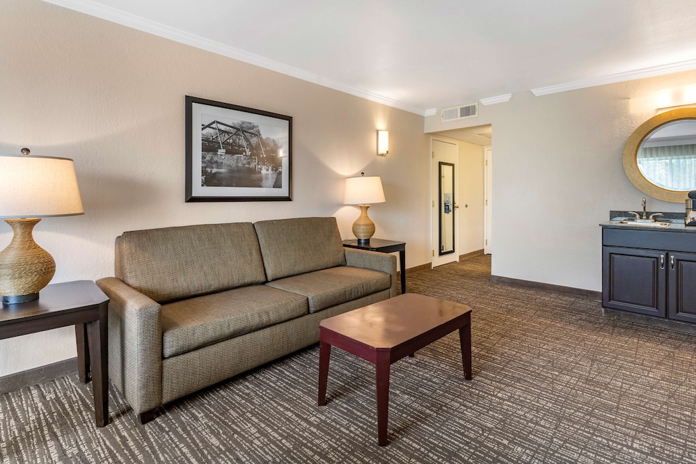 Suite, 1 King Bed, Non Smoking, Refrigerator & Microwave (with Sofabed) - Photo 2