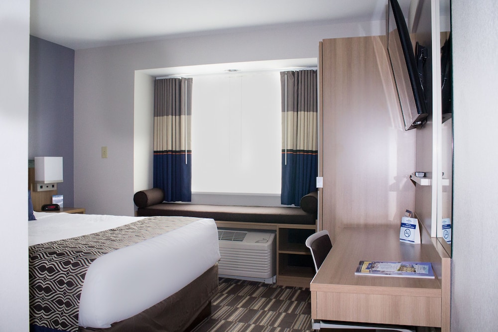 Room, 1 Queen Bed photo 2