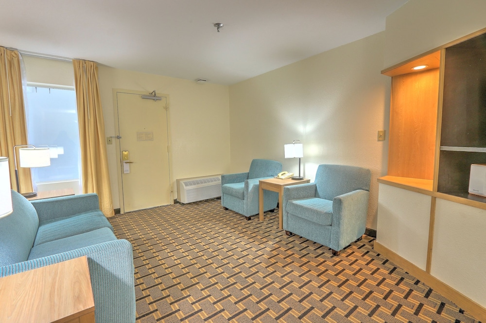Suite - Photo 8
