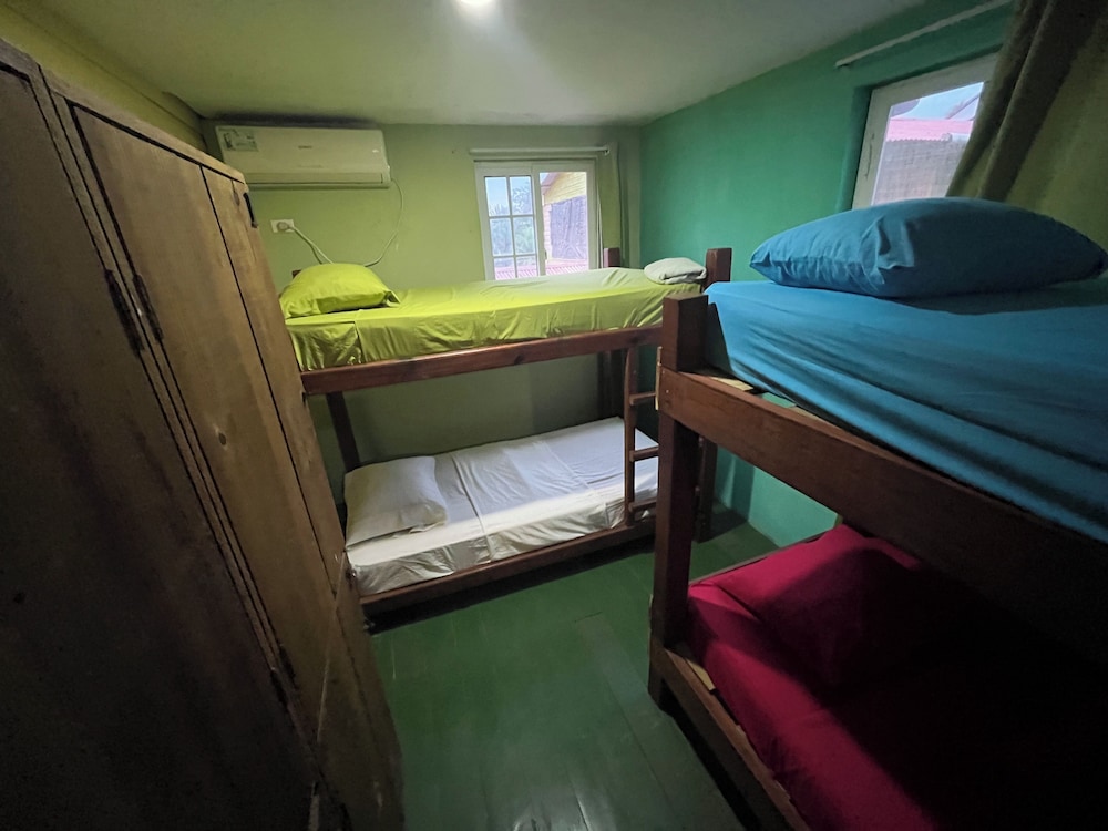 Basic Shared Dormitory photo 2