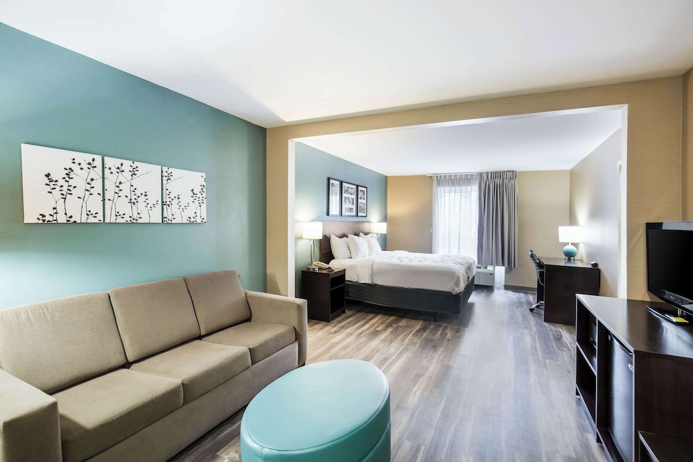 Room, 1 King Bed with Sofa bed, Accessible, Non Smoking (Upgrade) - Photo 3
